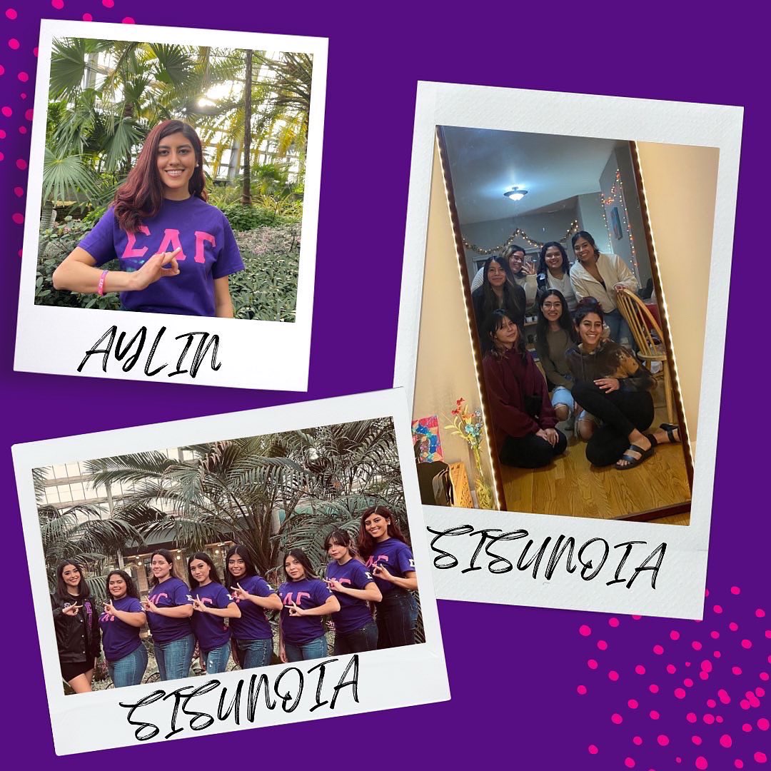 chicagogammas's tweet image. 💗19 days of Gammas💜
Day 14: NEO FRIDAY💜💗
#sigmalambdagamma #sigmachapter #gammas #slg