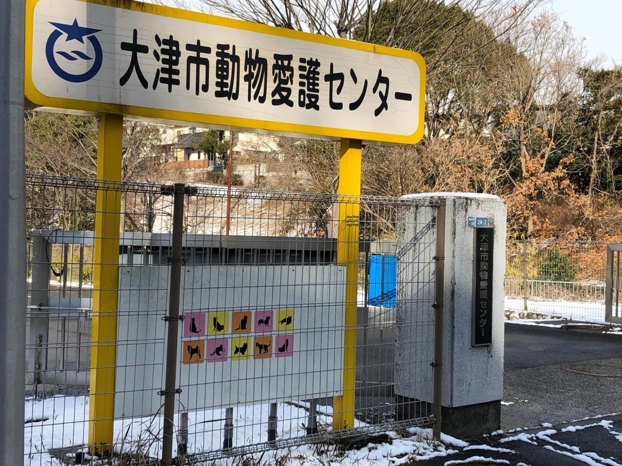大岡としたか 自民党衆議院 滋賀1区 仰木の里にある 大津市動物愛護センター を視察させていただきました 環境省で担当している 動物愛護 管理の分野の現状と課題を 地元にて現場の声を聞かせていただきました 人と動物の共生する社会の実現を