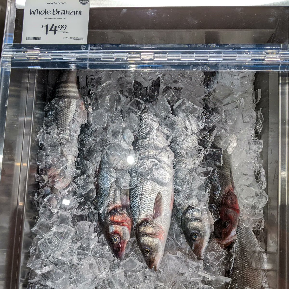 danielroz tweet media