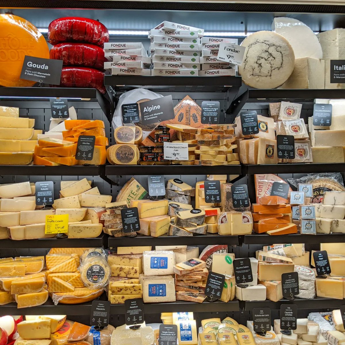 danielroz tweet media