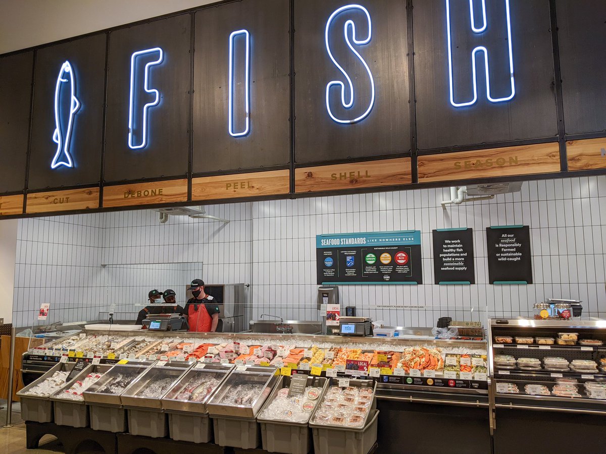 danielroz tweet media