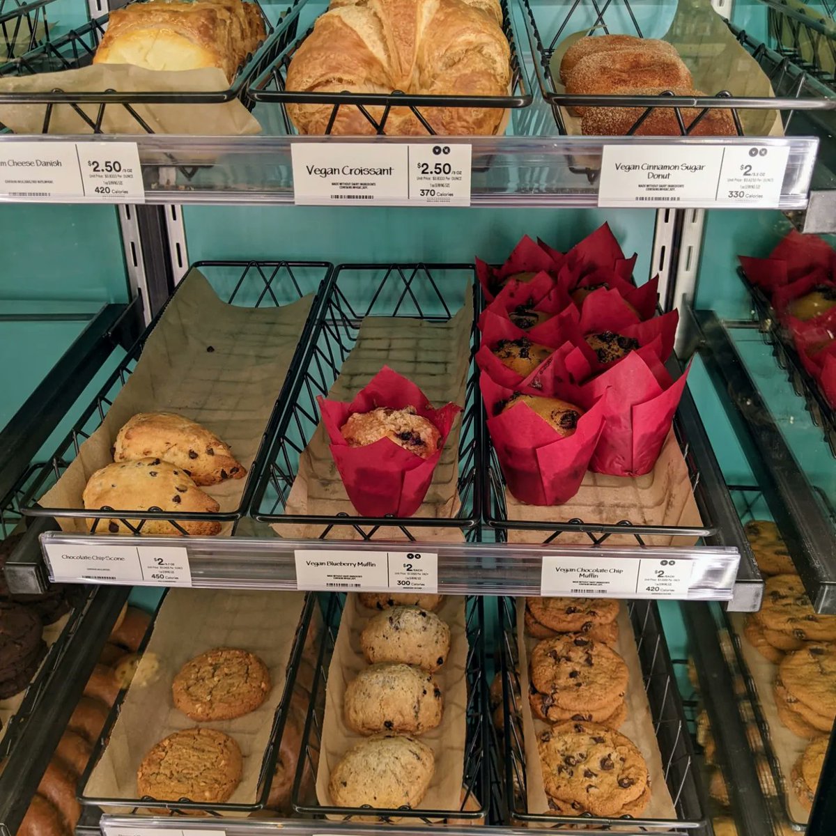 danielroz tweet media
