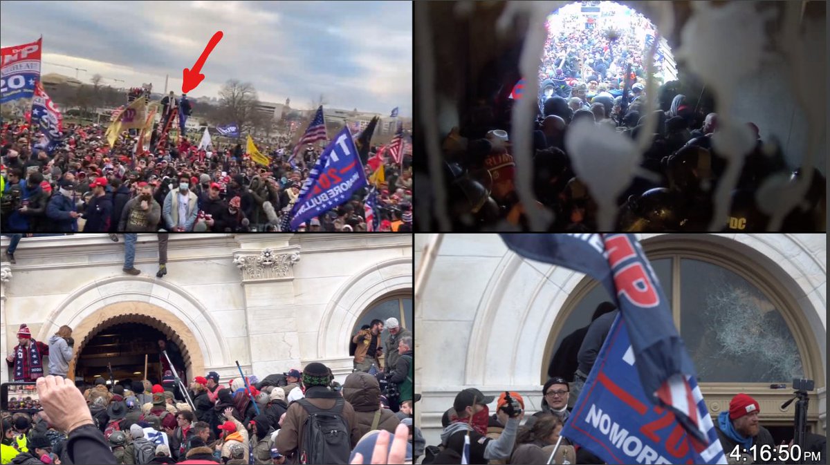 Stevie Gee tweet media