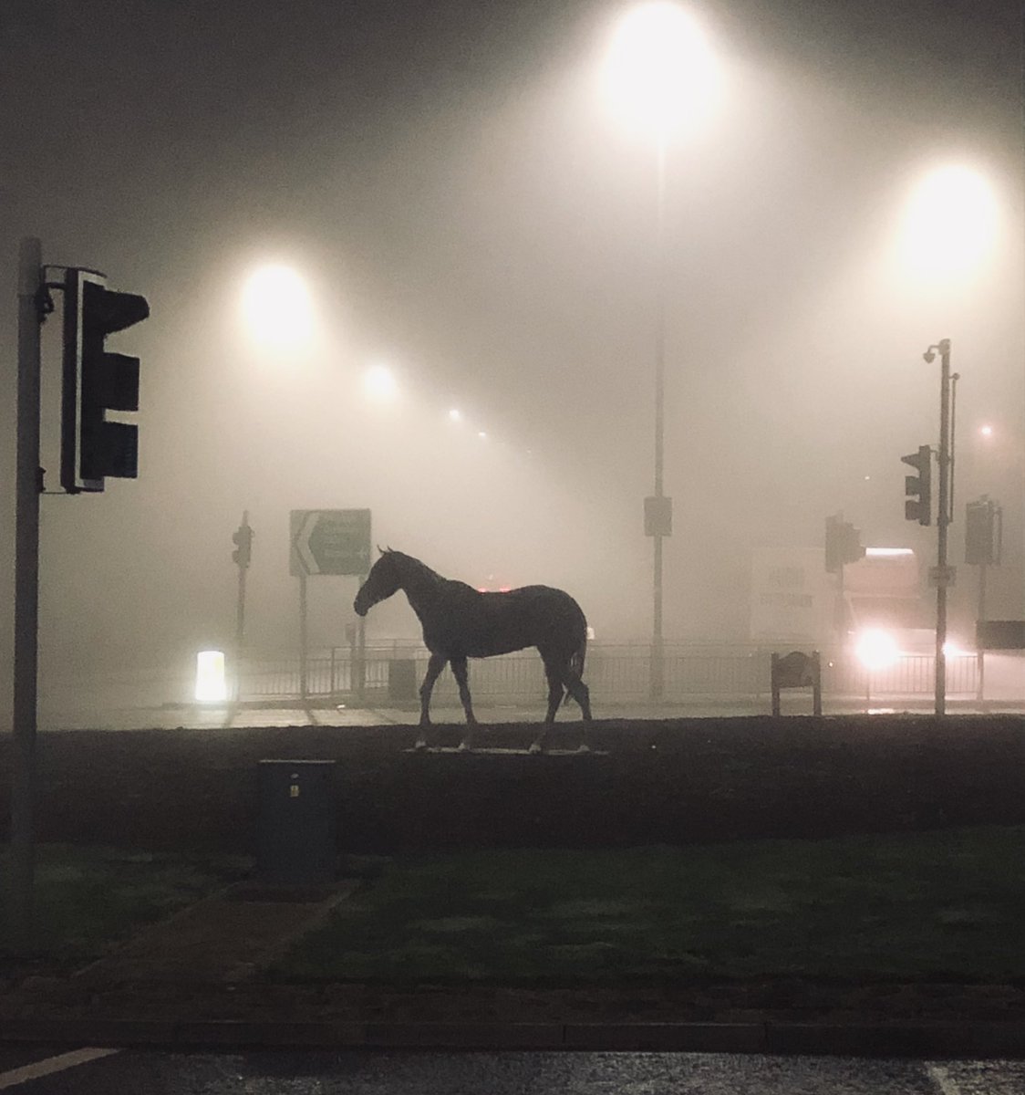 Dwarfland25's tweet photo. Horsforth roundabout at midnight.String of Beads, January 22.
#Leeds #TrafficLights #Photography #Pretentious #AfterPub #Horsforth #Horse #WeighItIn https://t.co/bxE0kIUwp3