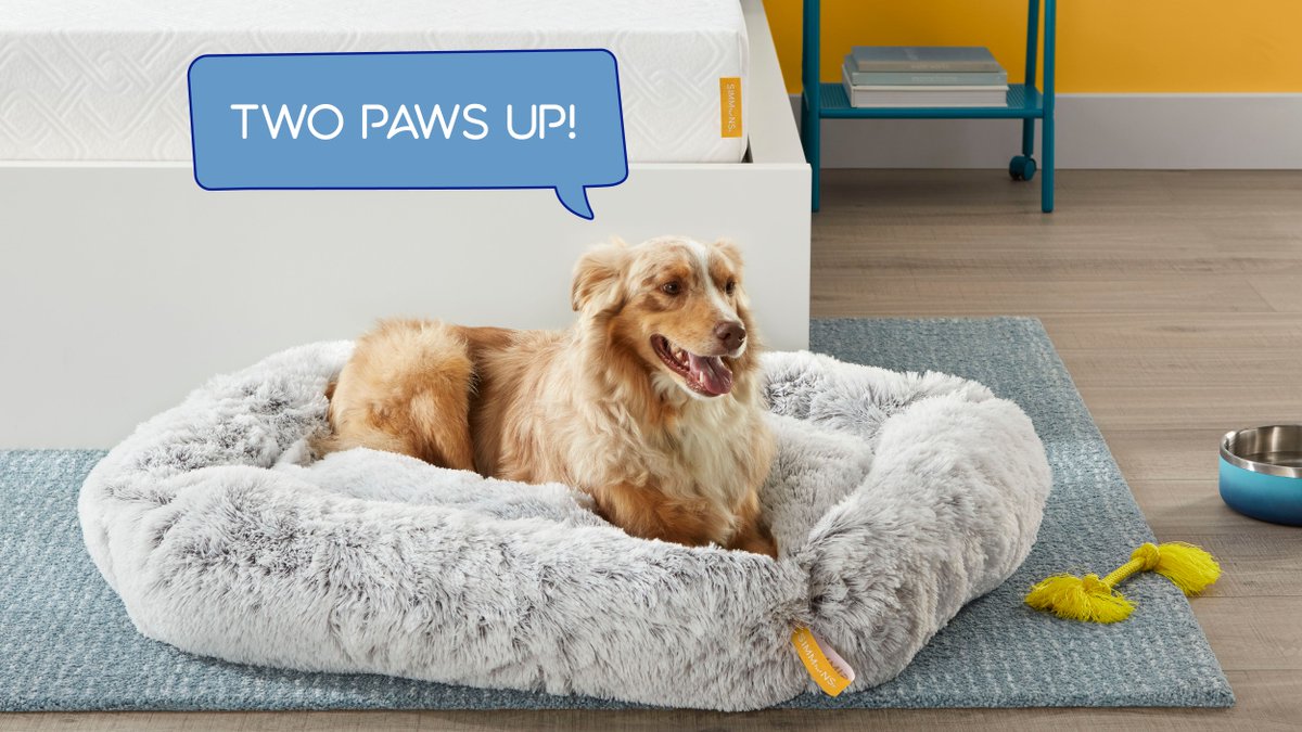SimmonsSleep's tweet photo. New product alert! https://t.co/tE2NUXIvQk https://t.co/q8DnNpbVxt