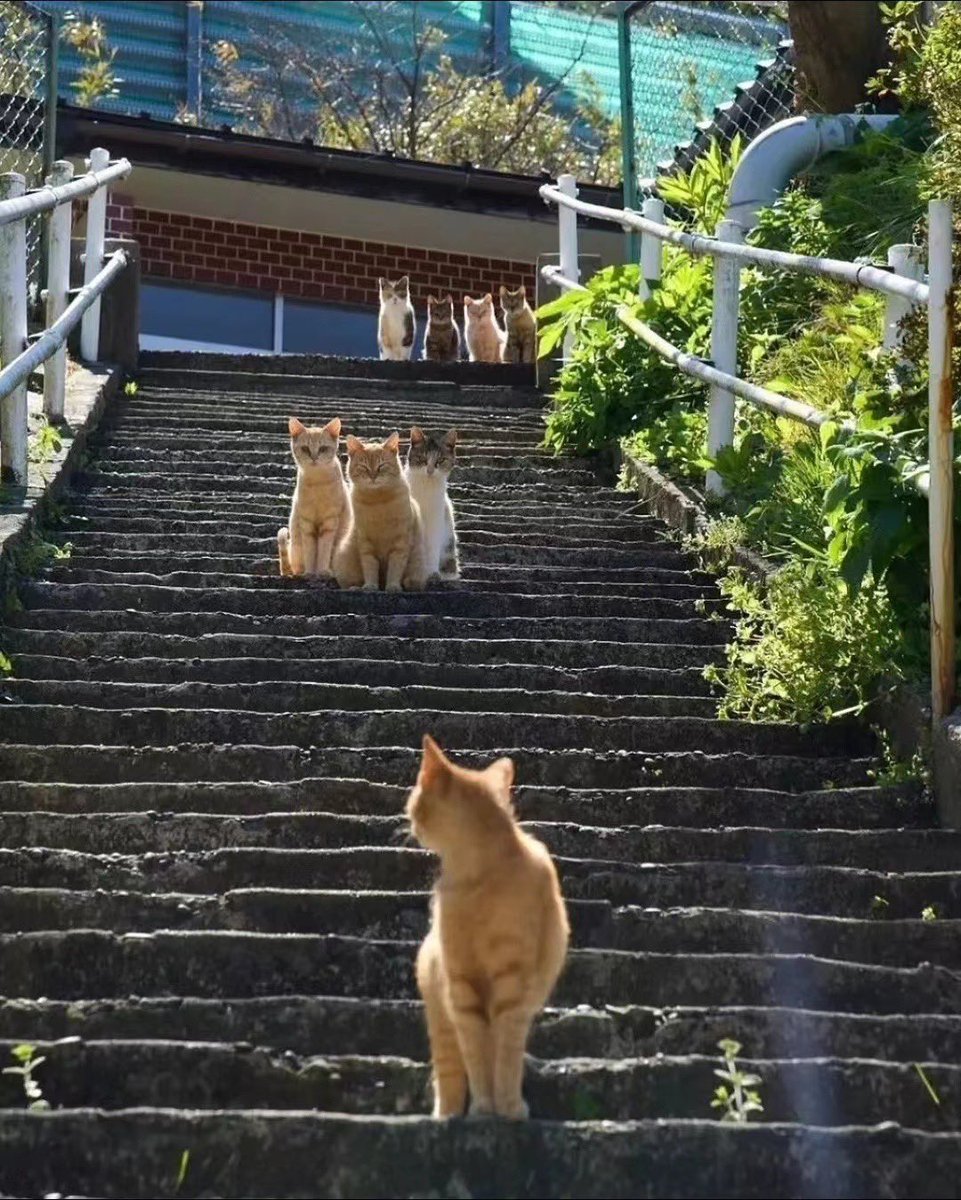 birdcallgw's tweet photo. Make yourself happy and get rid of anxiety。 https://t.co/p3dZOihrkj