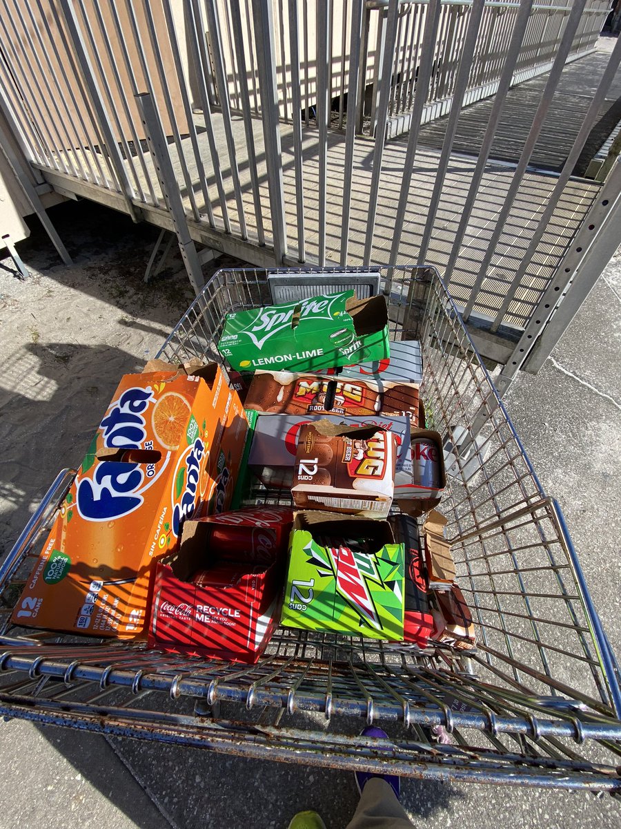 DeLand Middle Terriers tweet media