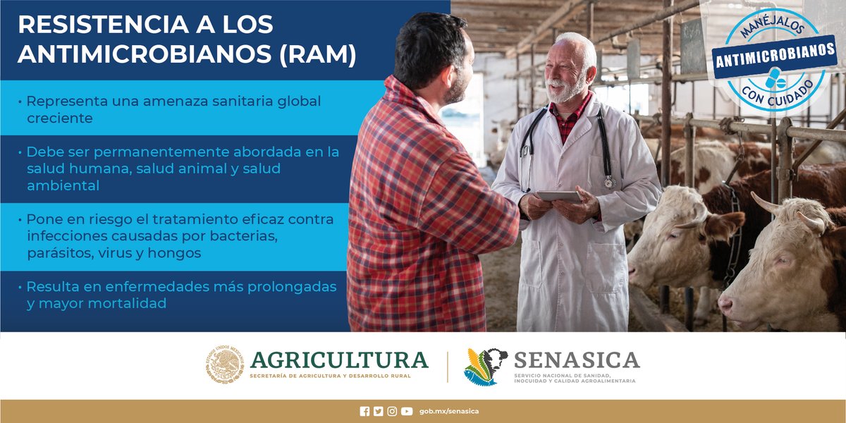 SENASICA's tweet photo. Este año trabajemos juntos para evitar la resistencia a los #antimicrobianos #RAM 💉💊 https://t.co/n34VmeJoi1