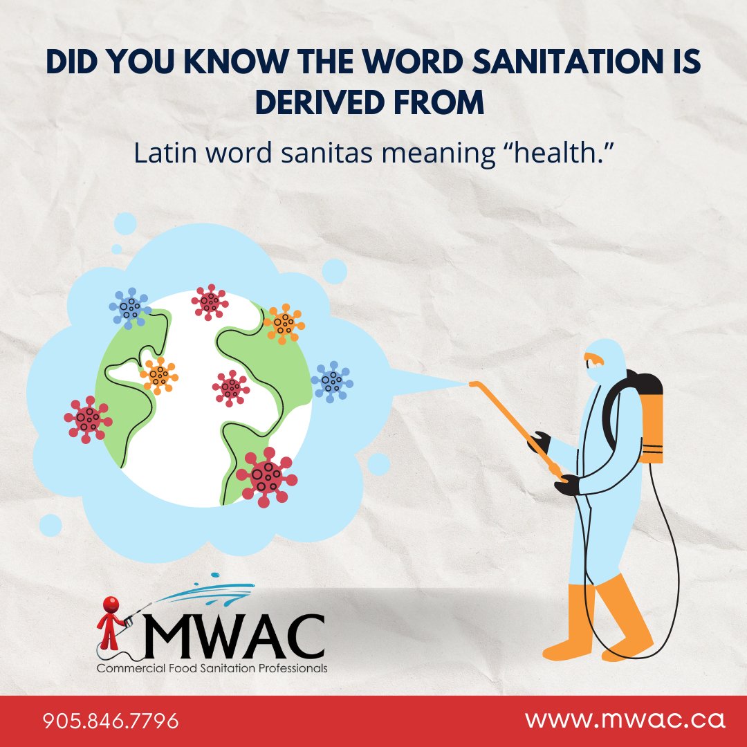 Effective sanitation refers to all the procedures that help accomplish these goals.
