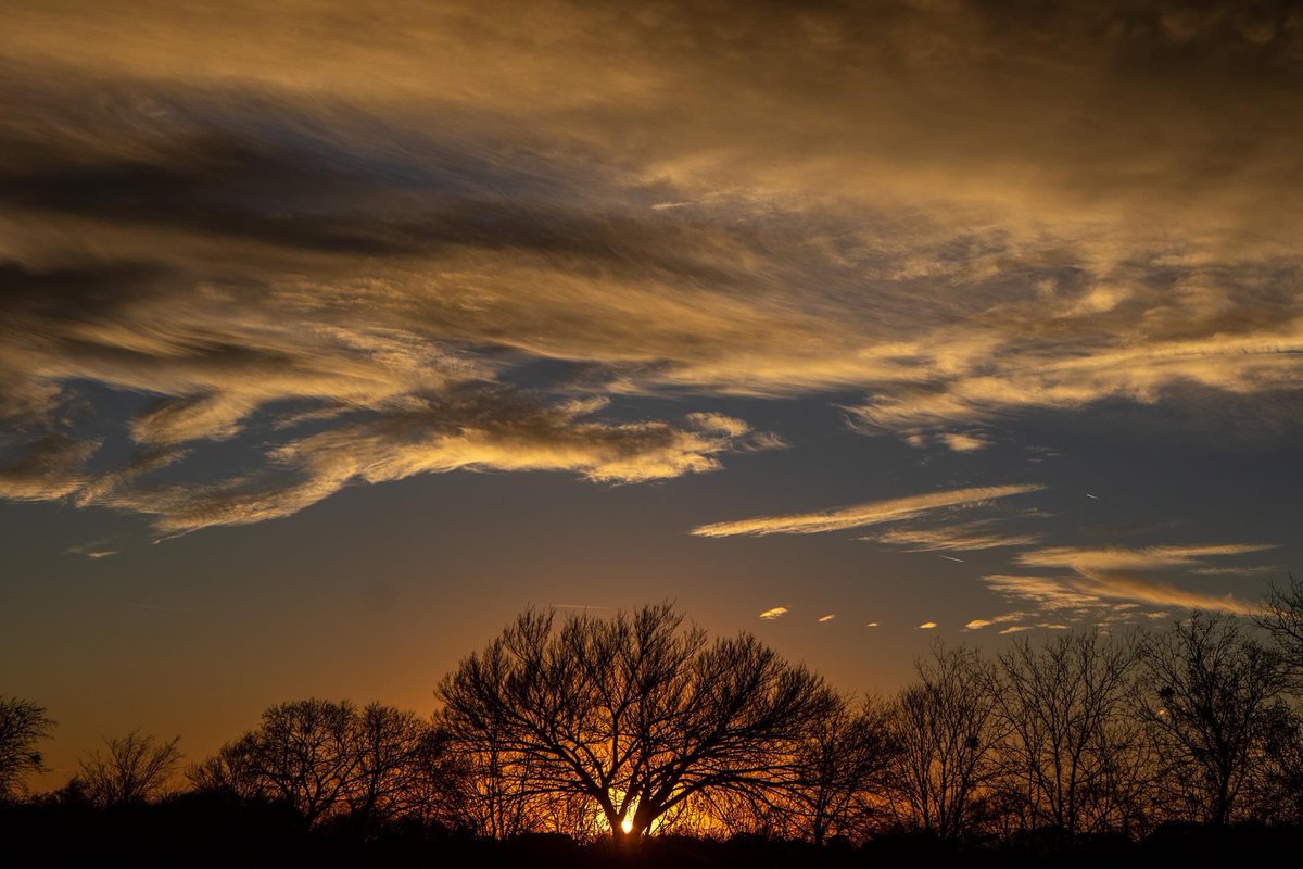 Ronnie Prcin tweet media