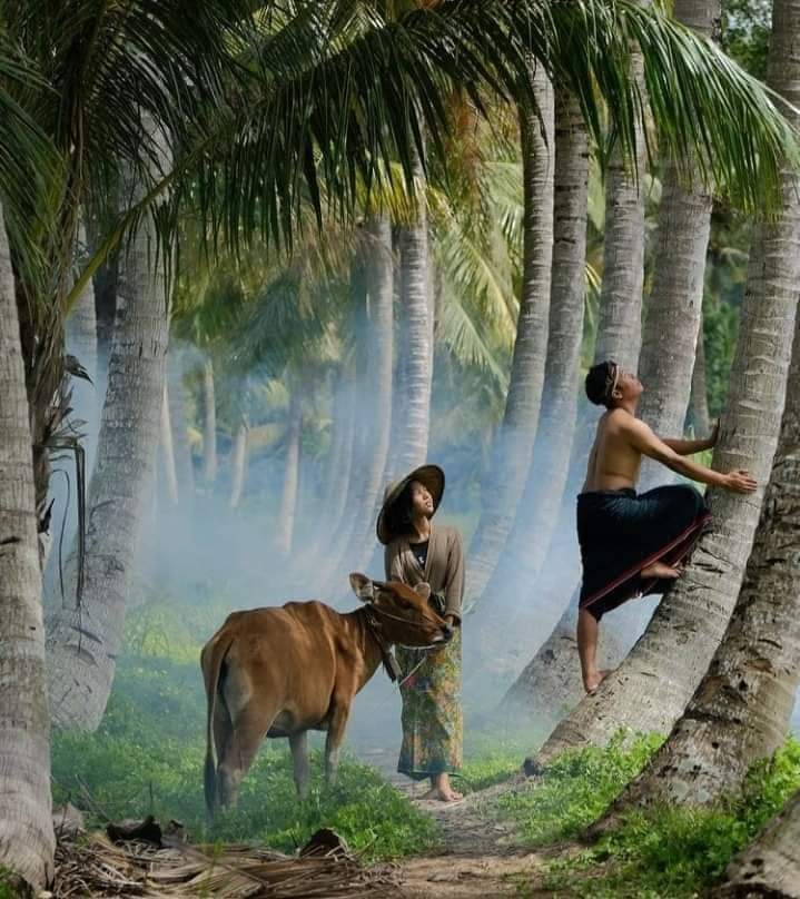 AKU TIDAK BUTUH SURGAMU, DRUN
.
.
.
.
.
Indonesia dengan semua  kearifan lokal adalah surgaku❤️🇲🇨