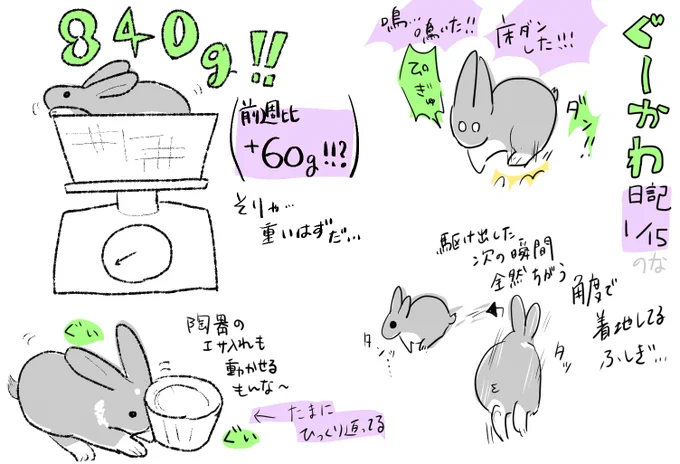 日記 体重測定回 重くなったね… 