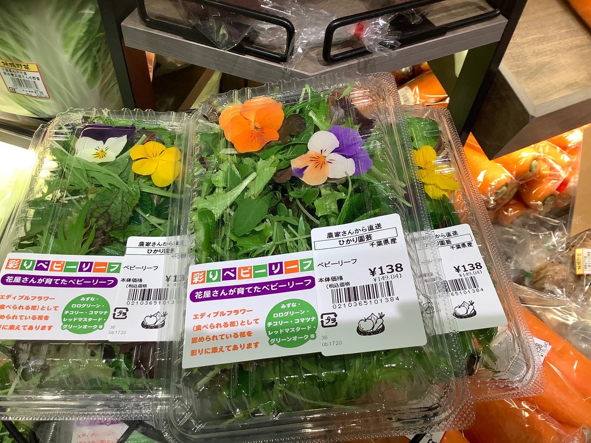 تويتر サミットストアテラスモール松戸店 على تويتر おはようございます 今日は 共通テスト ですね 頑張って下さいね 千葉県産 ベビーリーフ を 地場野菜 コーナーで見つけました 可愛いお花で気持ちが暖かくなります 見るのも食べるのも楽しいですね تويتر サミットストアテラスモール松戸店 على تويتر おはようございます 今日は 共通テスト ですね 頑張って下さいね 千葉県産 ベビーリーフ を 地場野菜 コーナーで見つけました 可愛いお花で気持ちが暖かくなります 見るのも食べるのも楽しいですね