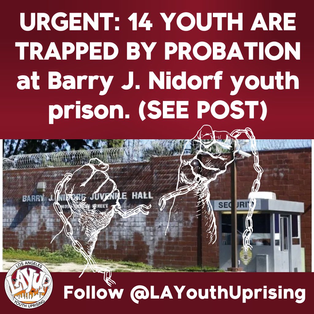 YouthJusticeLA's tweet photo. URGENT: 14 youth are TRAPPED at Barry J Nidorf youth prison while @LACountyBOS plays NIMBY politics. What happened to #YouthJusticeReimagined? 
@SupJaniceHahn @SheilaKuehl @HildaSolis @kathrynbarger @_HollyJMitchell 🧐 https://t.co/nCi1BCDfaW