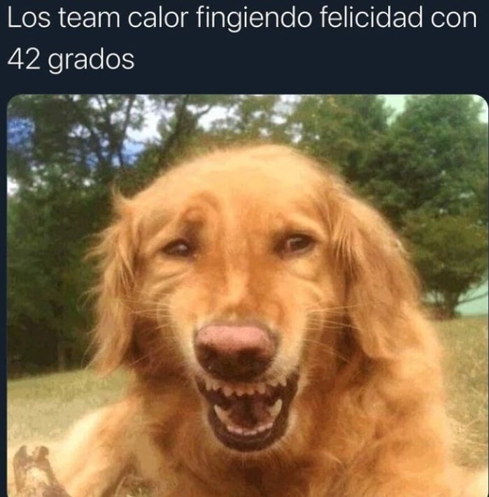 Uno es team primavera no más 😂