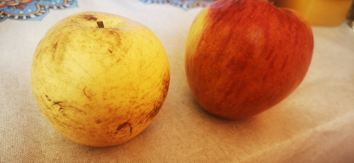 Лийр ер нь амьдралын хамгийн хатуу хөтүүг туулсаар бидний гарт ирдэг байх тиймүү