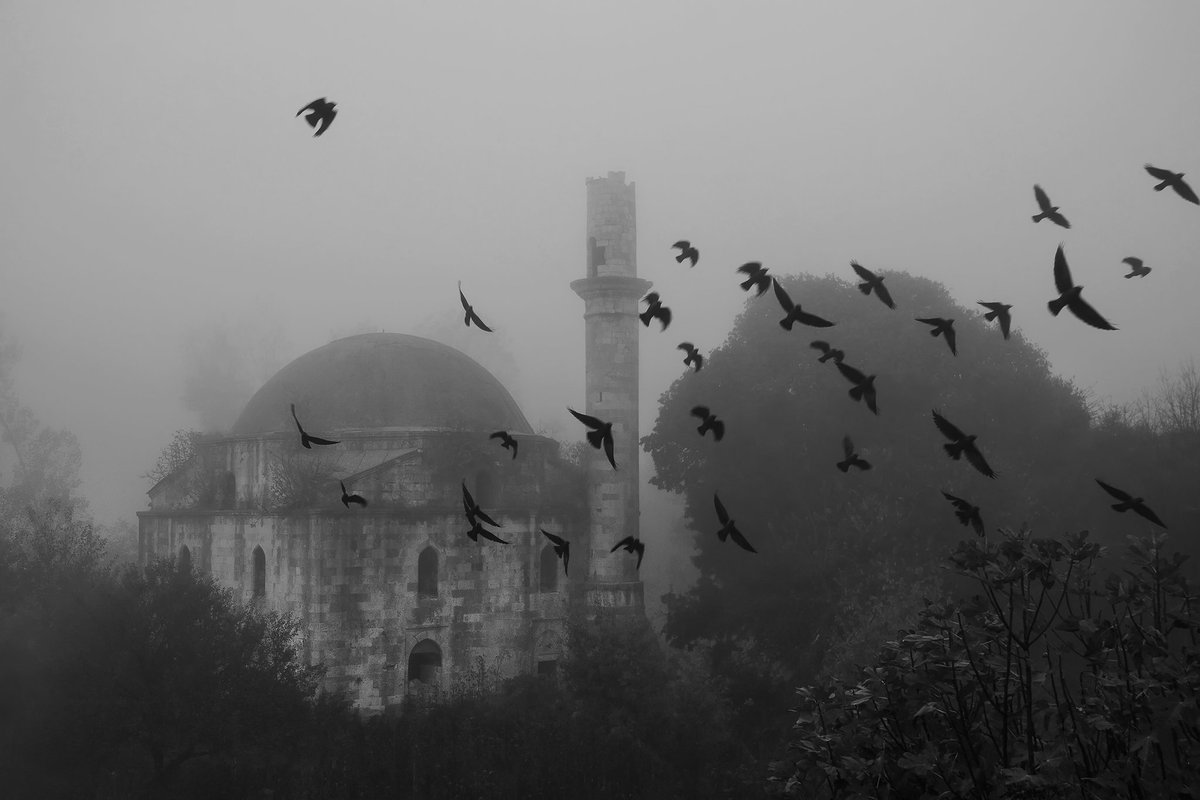 Günaydınlar sağlıklı günler. 🙏