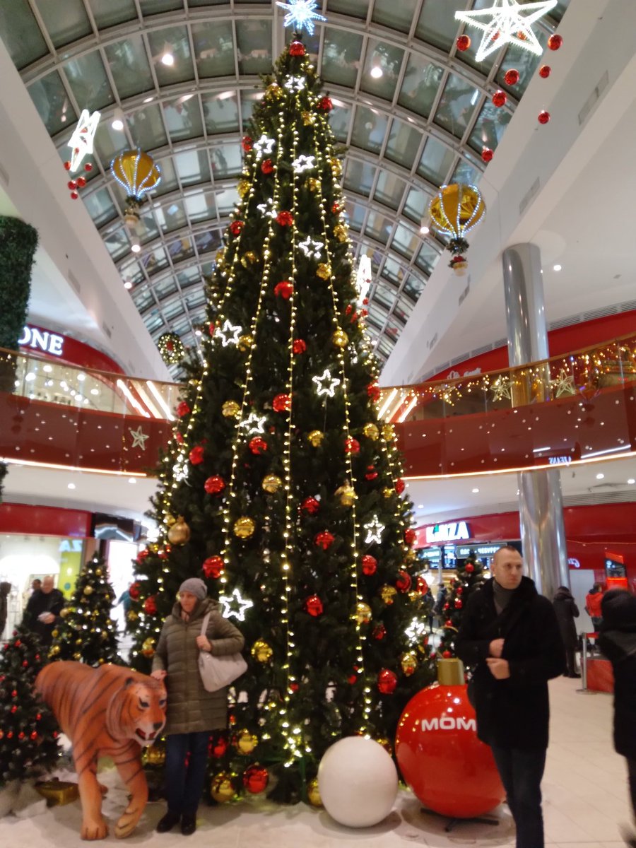 Nadezda_VD's tweet photo. "Ёлочная" красота (декабрь 2021 г. - начало января 2022 года.).🎄🎄🎄 https://t.co/rHWmGmr5yF