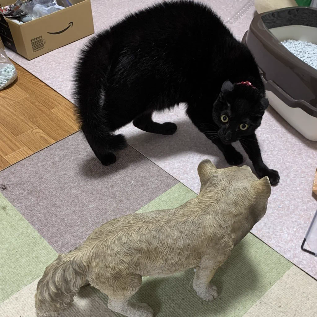 警戒心マックス！？イタズラした愛猫に置物を持ってきた様子がこちら！