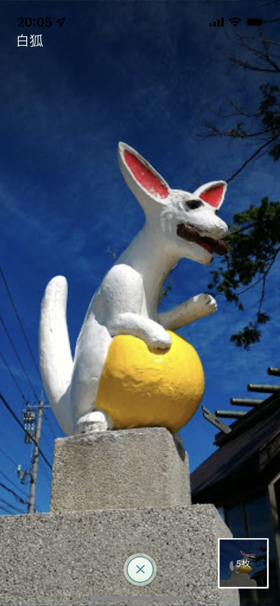 富山県ポケモンgo Pokego Toyama Twitter