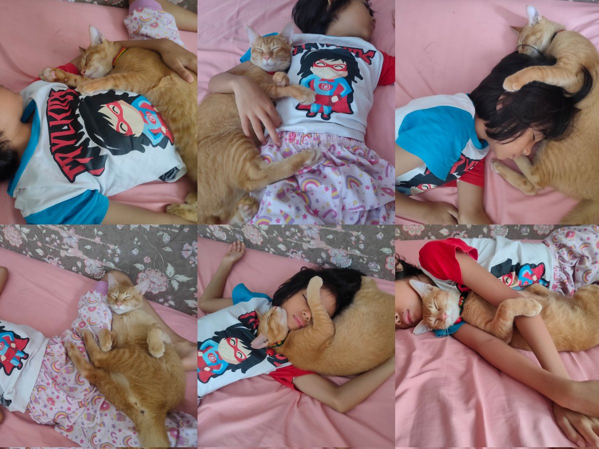petsfess's tweet photo. Kcg! Iseng ngefoto ponakan sama kucingku yg tidur bareng dari abis subuh, mana posisinya berubah2😂 Sampe jam segini belom ada yg bangun wkwk https://t.co/mqagcJOi46