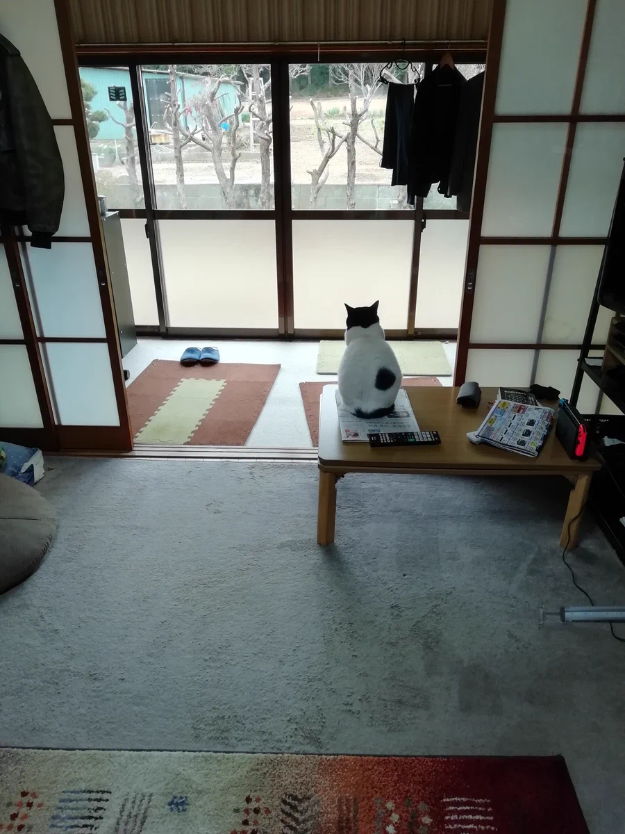 掃除中はしばし我慢！換気され暖かい場所がなくじっと耐える猫