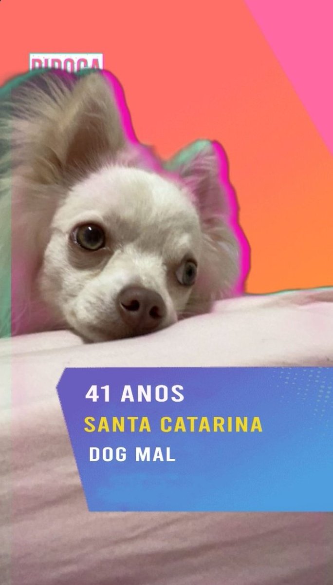 ASKM00NY's tweet photo. eu sou #teamrui ta https://t.co/c2etFkYCTb