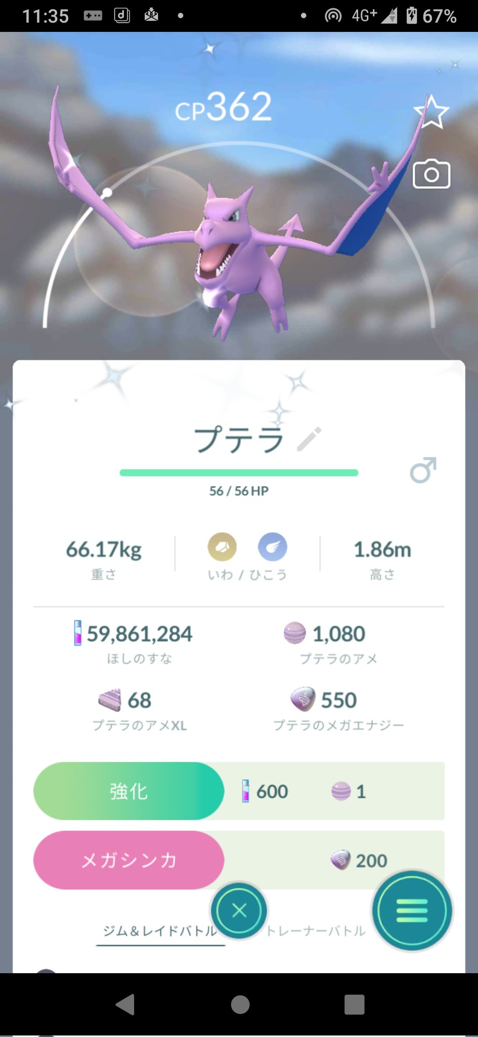 山田せいじい ポケモンgo 色違い 野生のプテラ ゲット T Co Ftleqhmfwc Twitter