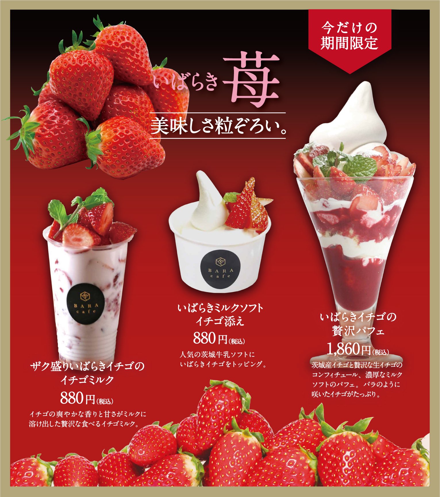 Ibaraki Sense イバラキセンス 本日から Bara Cafeにていちご メニューがスタートします いちごがたっぷり入った イチゴの贅沢パフェ や ザク盛りいばらきイチゴのイチゴミルク など 茨城県産いちご をふんだんに使用した贅沢スイーツ