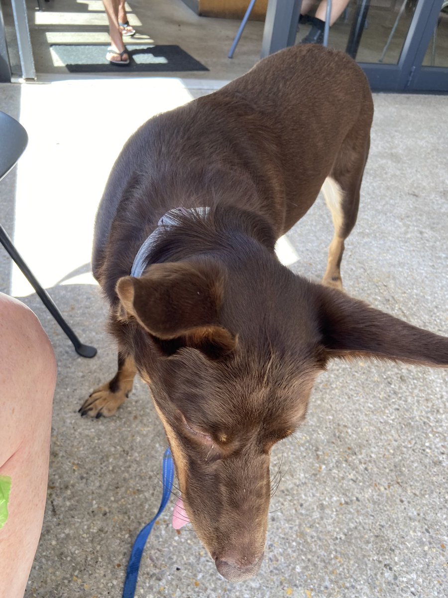 Emma Jones tweet media