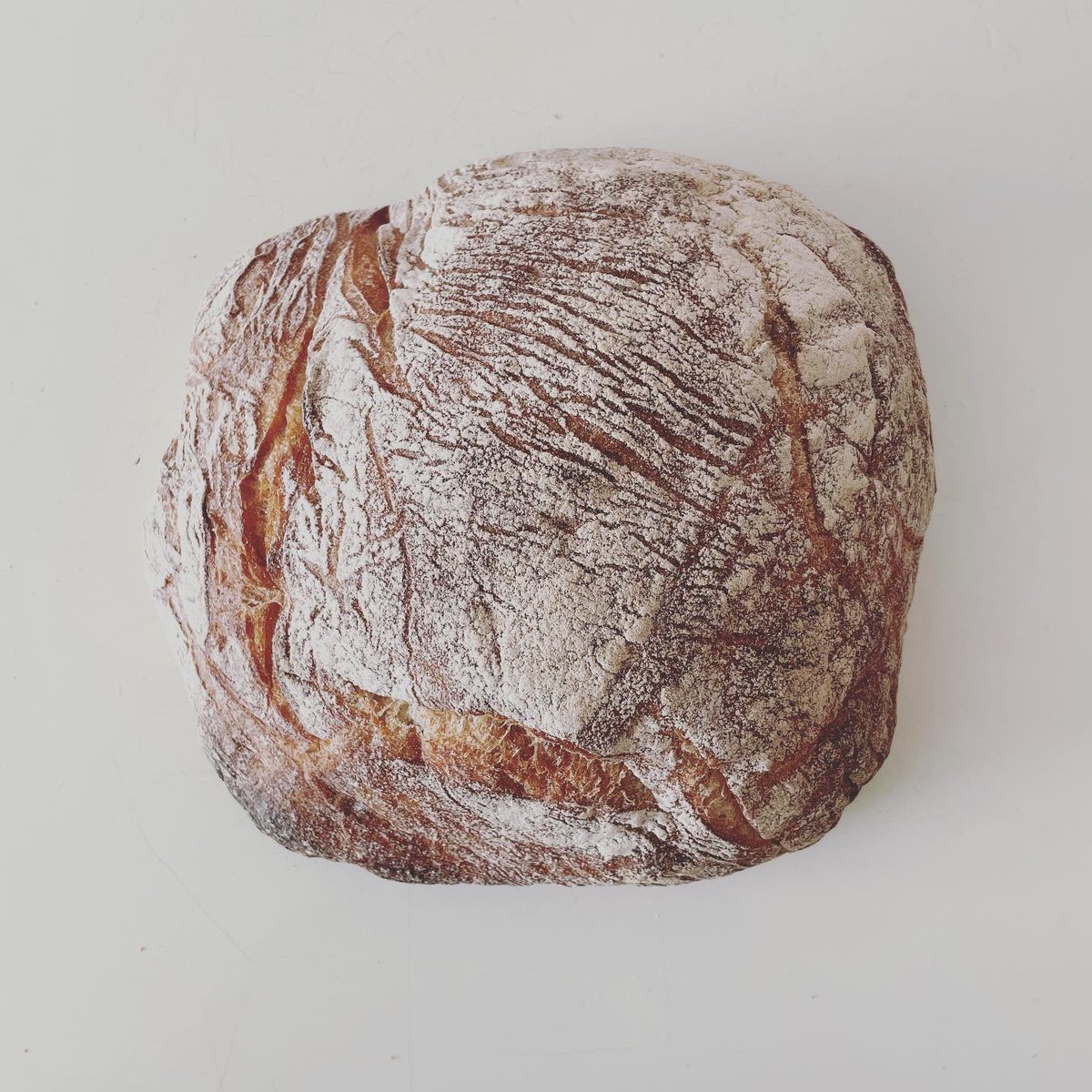 m_i_k_i_u_s_u_i's tweet photo. a ‘pain de Lodeve’ and a ‘Rustique’

#パンドロデヴ #リュスティック 
#bread #berkery #beautifulbread
#ベッケライブロートハイム #桜新町 https://t.co/EXckLEcTJL