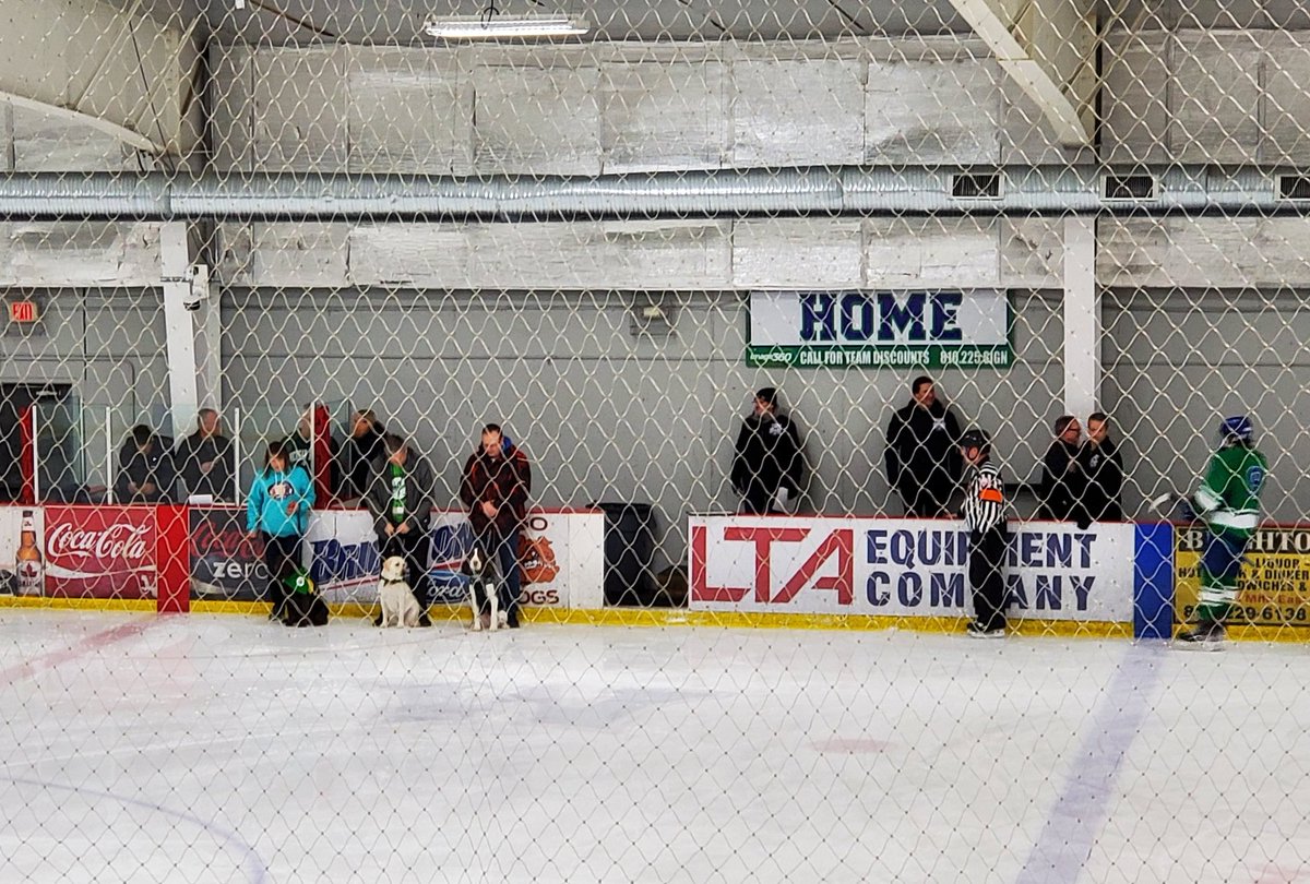 TammyRecruiting's tweet photo. #FridayNightIce Go Warriors! #GreenOutforMentalHealth @WLWAthletics https://t.co/rEUoNJr7sg