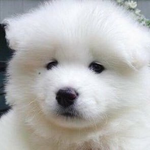 tiny__jen's tweet image. #제노 #JENO