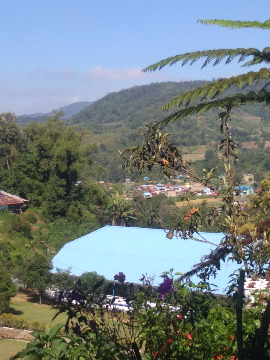 rahmat4500's tweet photo. Puncak gundaling https://t.co/gbMBSwQCPb