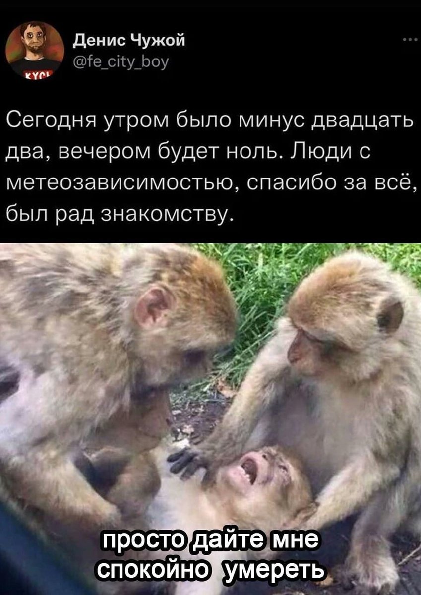 Сегодня не пишите и не звоните, всё завтра - если выживу 😜