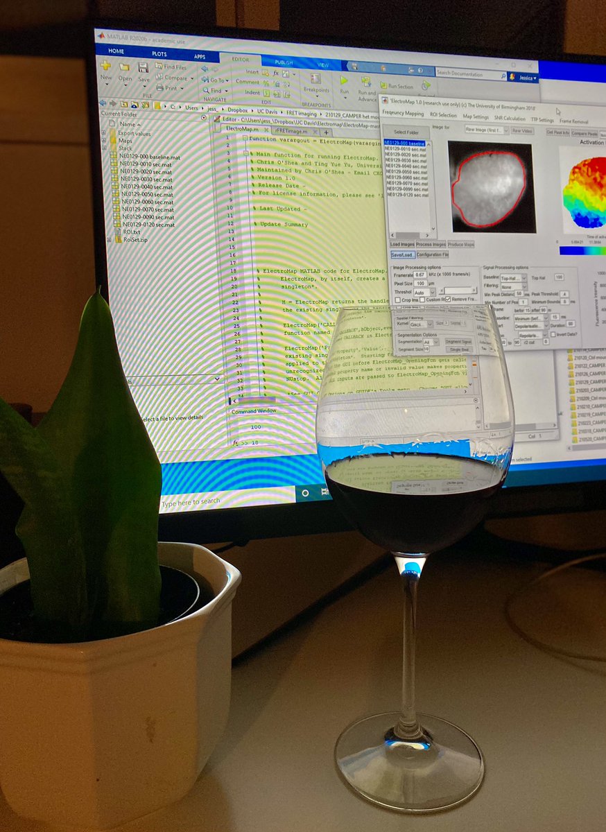 When it’s Friday night, but your data is just too exciting to stop. #ImANerd #WineHelps #OpticalMapping