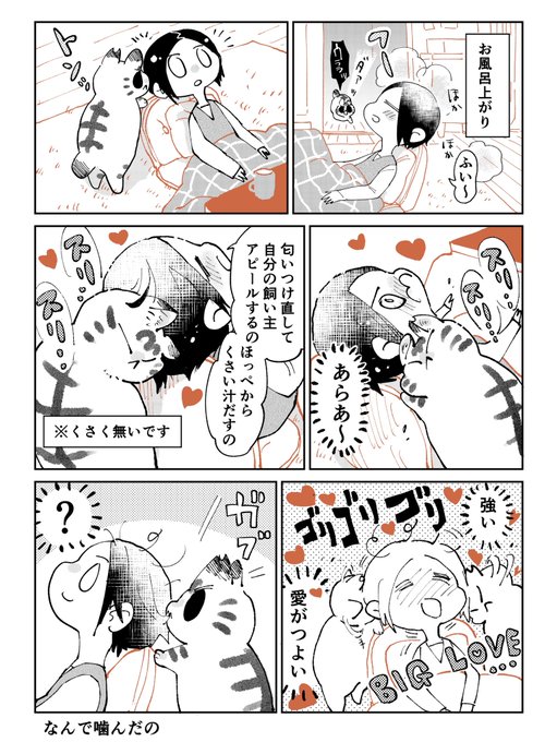 3本足のしじみちゃん161 