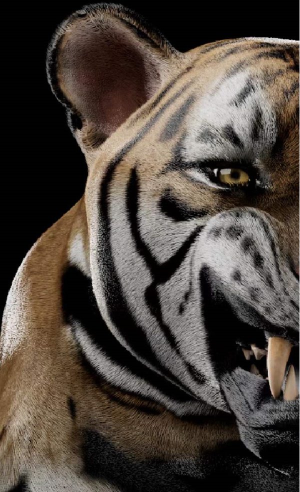 Tiger King Club tweet media