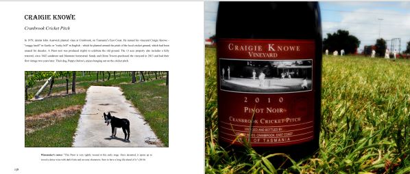 cricketwine's tweet photo. https://t.co/cUdKOlxiwA on the East Coast of @WineTasmania  has an old cricket pitch preserved within the vineyard and a cricket pitch Pinot Noir wine label #cricketwine https://t.co/YfTFWGpBEv @Geo_Var @LawHollander @paulgeeson @andyvan82 @ElizaBart @75mbr @birchdave https://t.co/3vNxFuFY8v