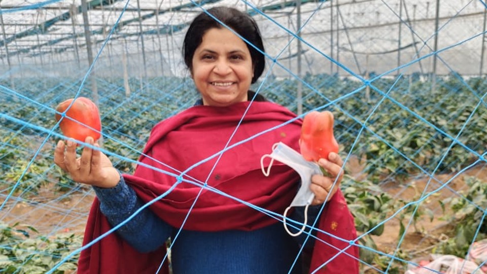 eswachh's tweet photo. Bumper Harvest of Bell Pepper with Rocket Organic Manure (Case Study)Bell Pepper Produced with Rocket Organic Manure

Jatinder Singh an Engineer turned Progressive farmer having a Poly house at Mohali had used Rocket Organic manure for farming red and

https://t.co/U1tvLYyk2A https://t.co/jHXUl6O1HZ