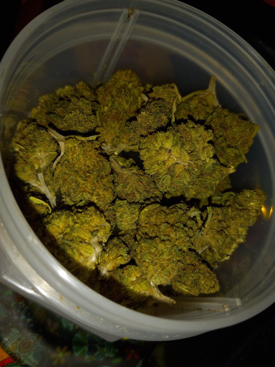 presidentKrob's tweet photo. @therealjuicyj Sour Sherbet bruh ! https://t.co/rOk0i9a7W2