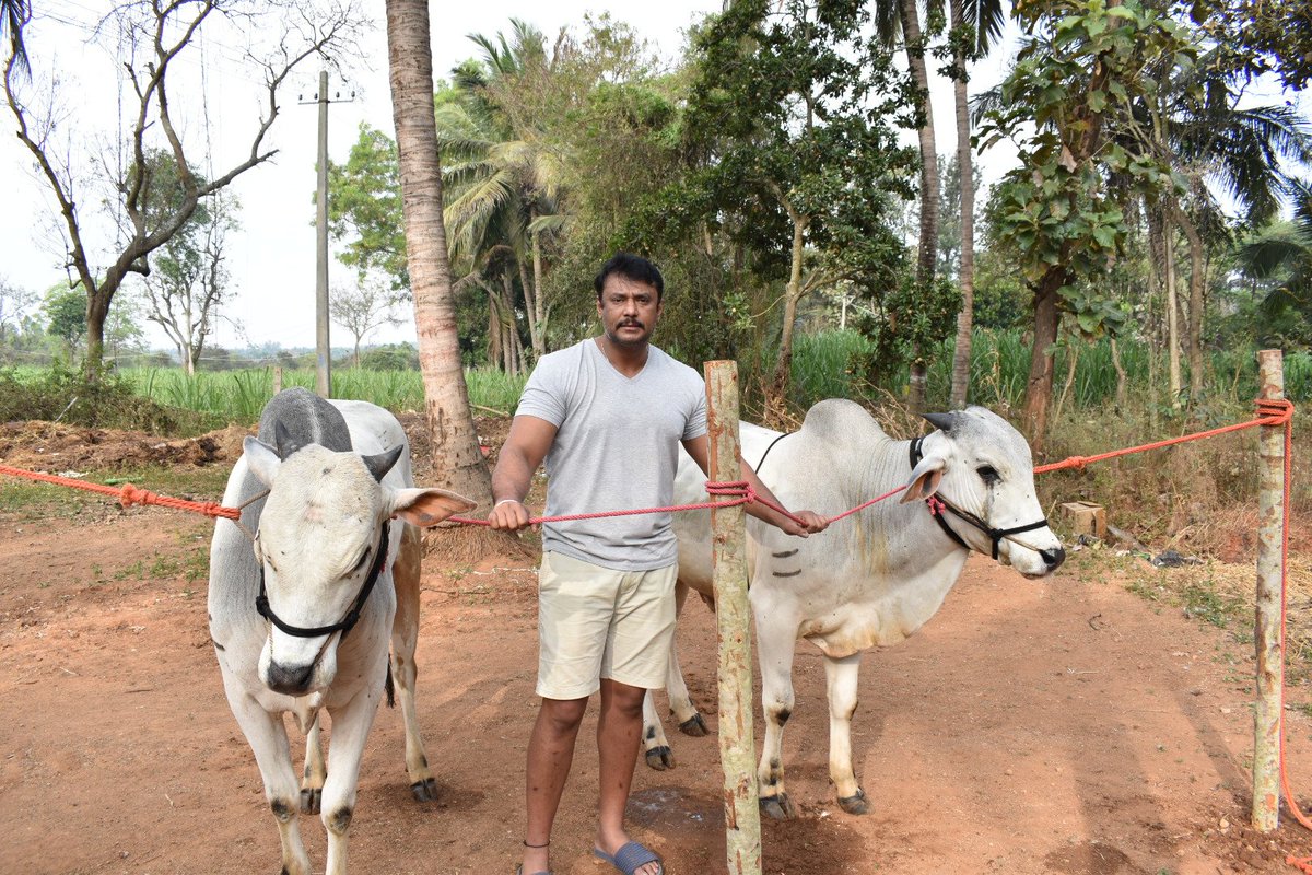 dasadarshan tweet picture