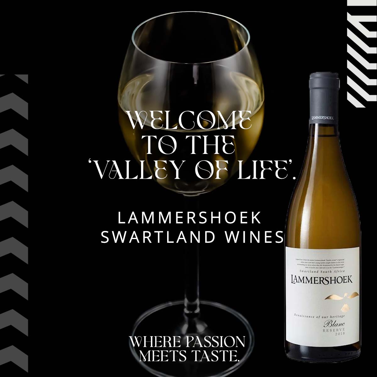 SAWineCellar's tweet photo. LAMMERSHOEK SWARTLAND - 'The Valley of Life'

The name Lammershoek dates back more than four centuries, linked to the preservation of life in a once harsh environment. Meaning “lambs’ corner”, legend has it that ewes sought shelter here in the forest for survival of their lambs🧵 https://t.co/zZxYWoQ4la