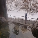 しらたかのツイート画像