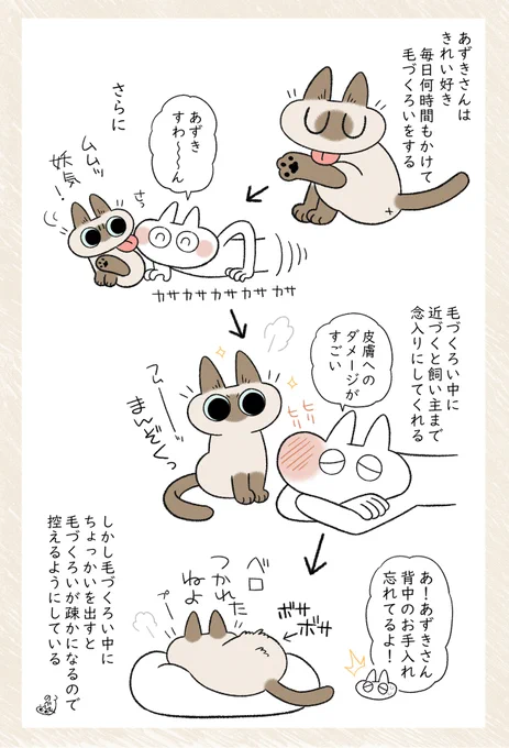 飼い主の毛づくろいで満足しちゃうあずきさん。猫あるある…? #シャム猫あずきさんは世界の中心 