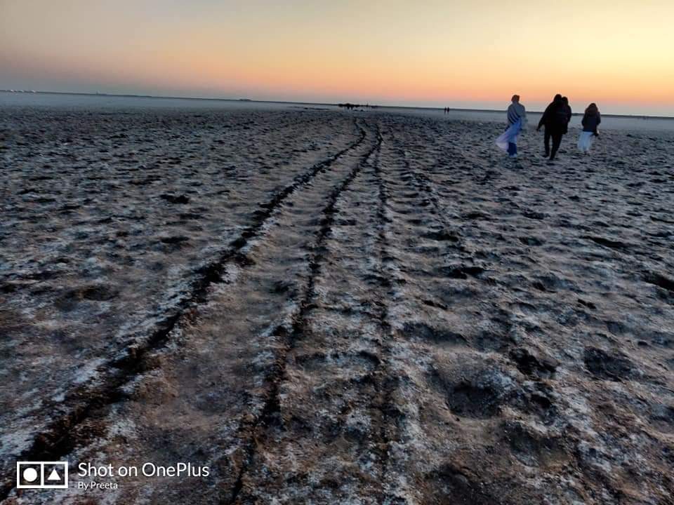 unhotelier's tweet photo. Month of January in #RannofKutch in Gujarat and Home in the hills, #Barog in Himachal. Enjoy the diversity.
#unhotel #curatedtravel #microexperiences https://t.co/ZmF56kCXee