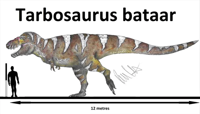 ryanpendzik2's tweet image. tarbosaurs or tyrannosaurs bataar