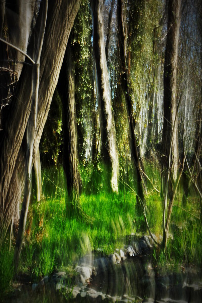 mahyagholizadeh's tweet photo. Planet Jungle 📷
0.04 $ETH ⛵
[→ 1/1 ←] 🖼️ https://t.co/av4WqNzgSO