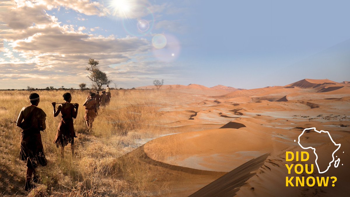 DHLAfrica's tweet photo. #DidYouKnow Namibia is the second least densely populated country in the world? Yet it boasts a diversity of 13 different ethnic groups! #GlimpseOfAfrica #DHLDelivers https://t.co/0g6wDdUgMs