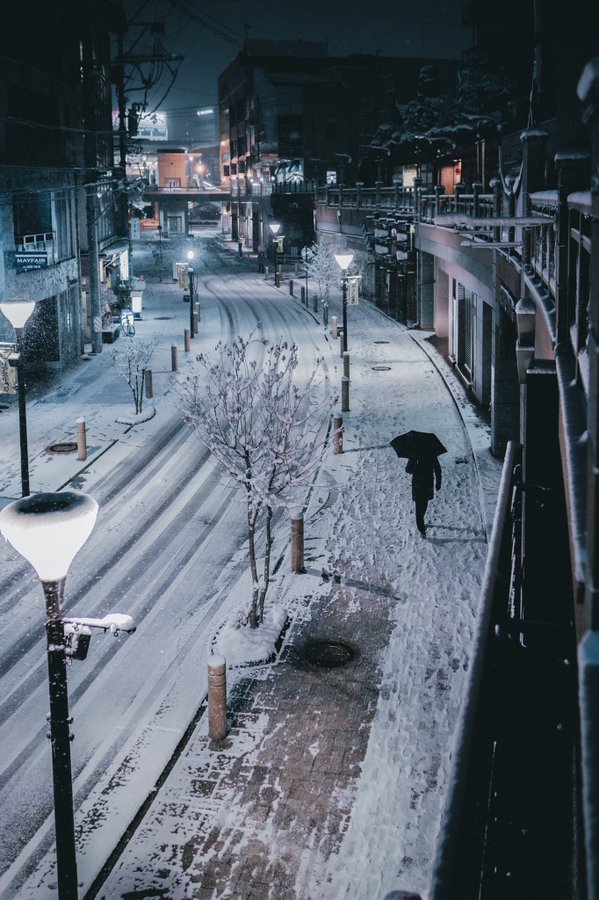 𝐜𝐡𝐢𝐡𝐢𝐫𝐨: Snowy night silhouette